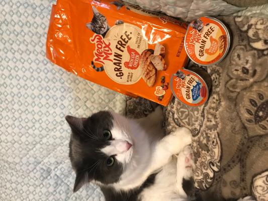 Meow mix shop grain free