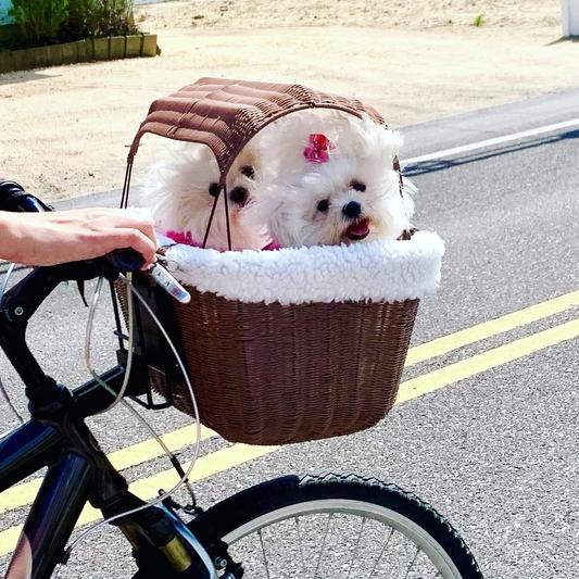 Petsafe happy ride wicker best sale bicycle basket for dogs