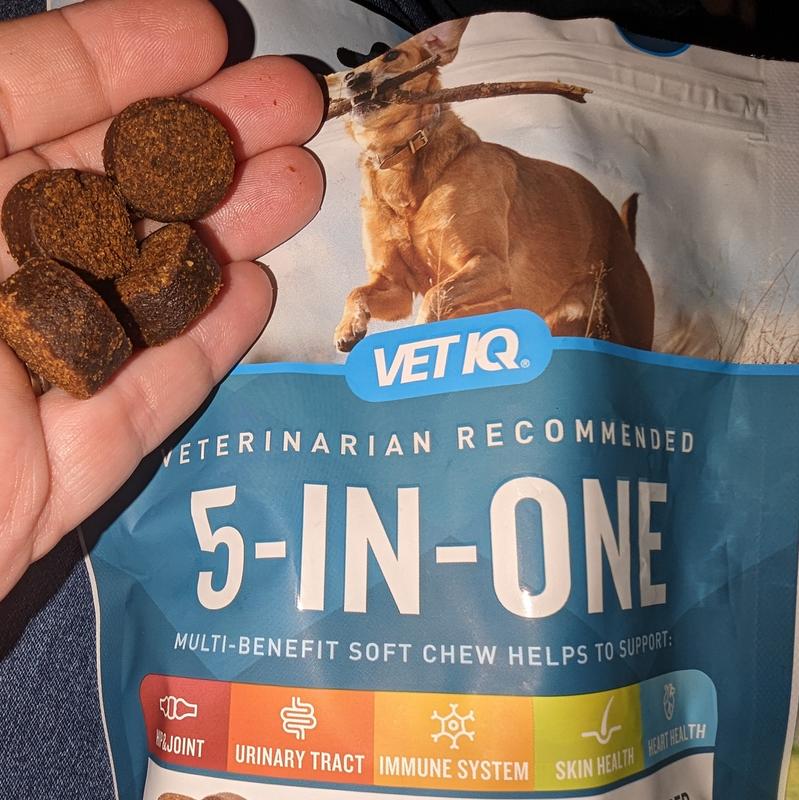 VETIQ 5NOne Soft Chew Multivitamin for Dogs, 60 count