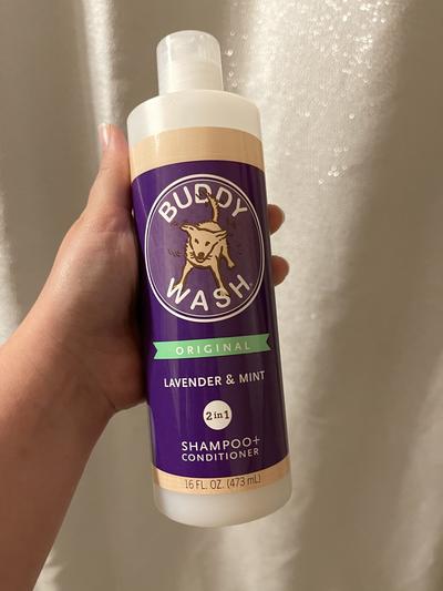 Buddy wash lavender sales mint dog shampoo