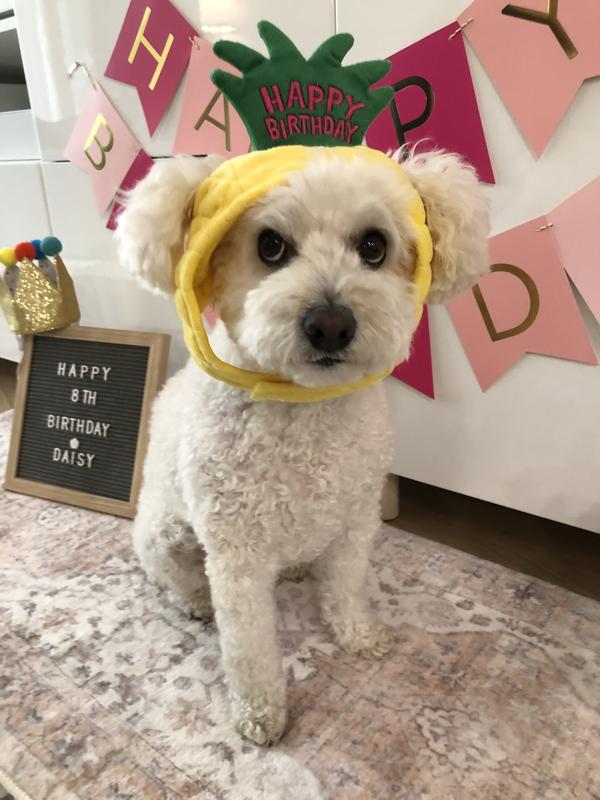 The look on her face says it all LOL