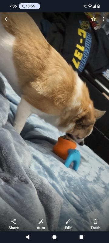 Hank going to town!
