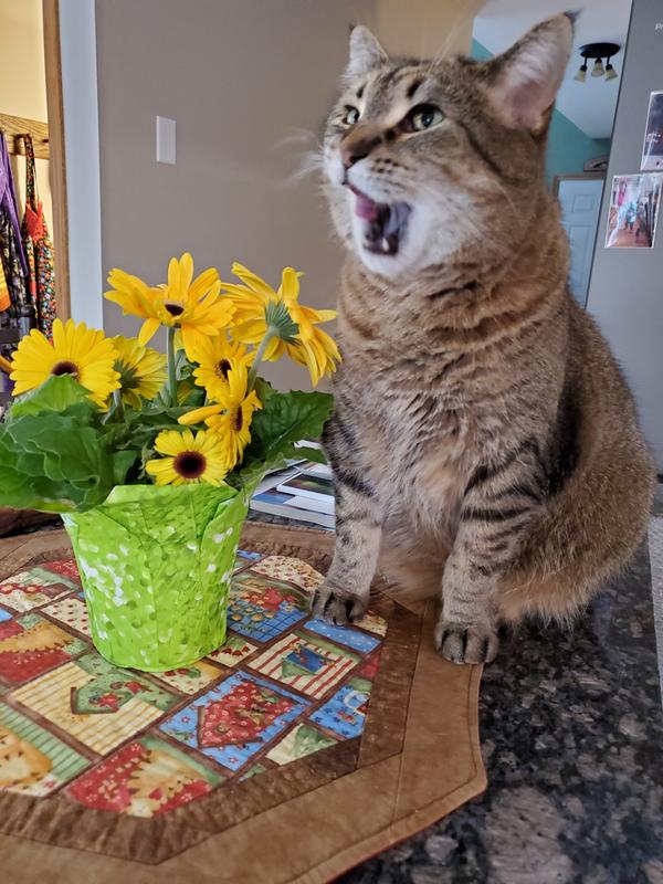 She's saying Thanks Chewy.