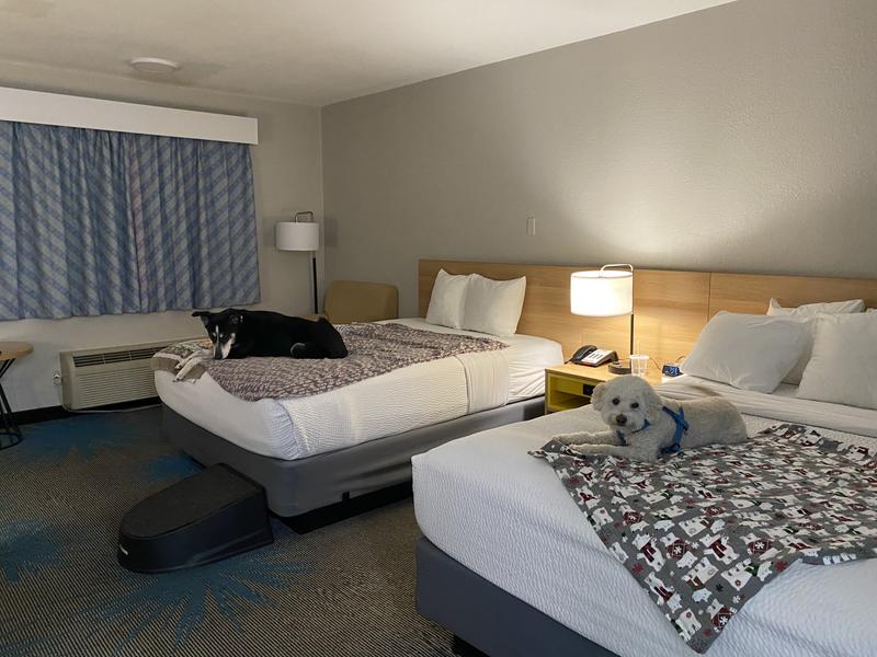 Step for tall hotel bed