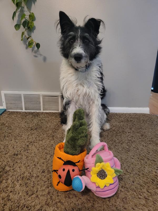 My dog is 35lbs, so the toys are a nice size.