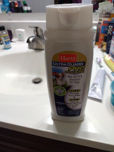 Hartz ultraguard hotsell pro shampoo