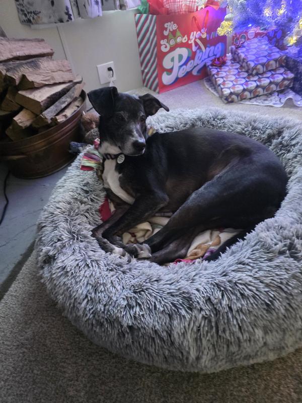 Always obsessed with what Dad is doing and where he's going