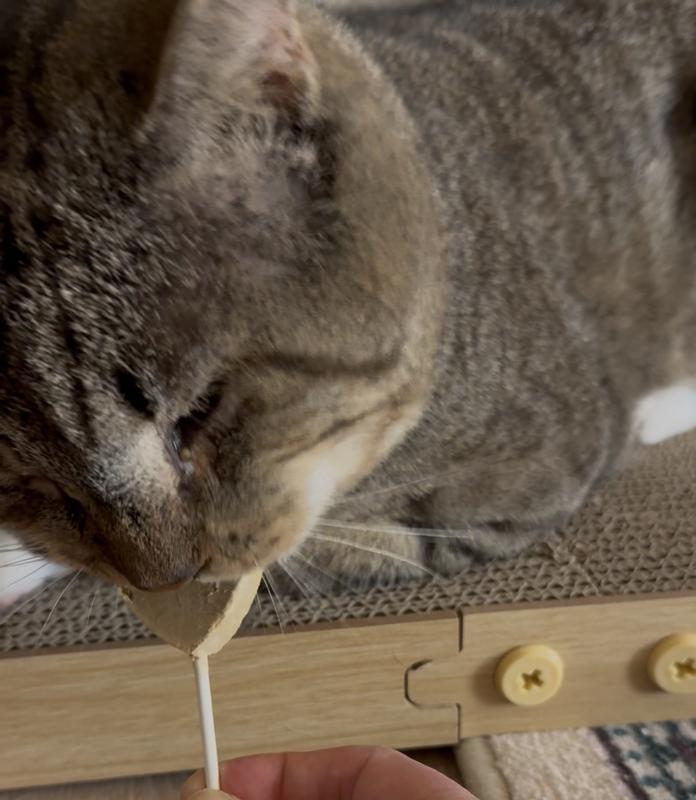 Bernard tackling his first Purr Pop