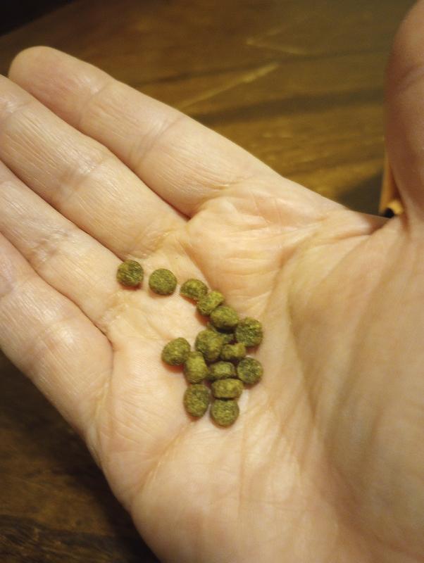 Look how tiny this kibble is!!