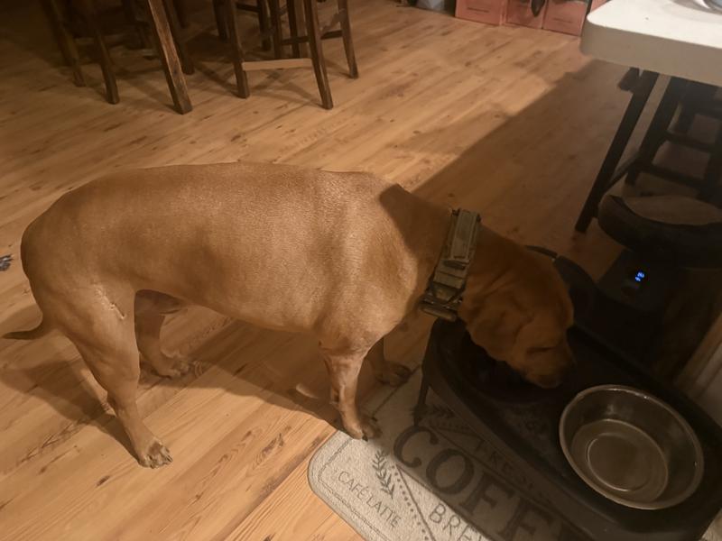 They did not notice something extra was on their food!