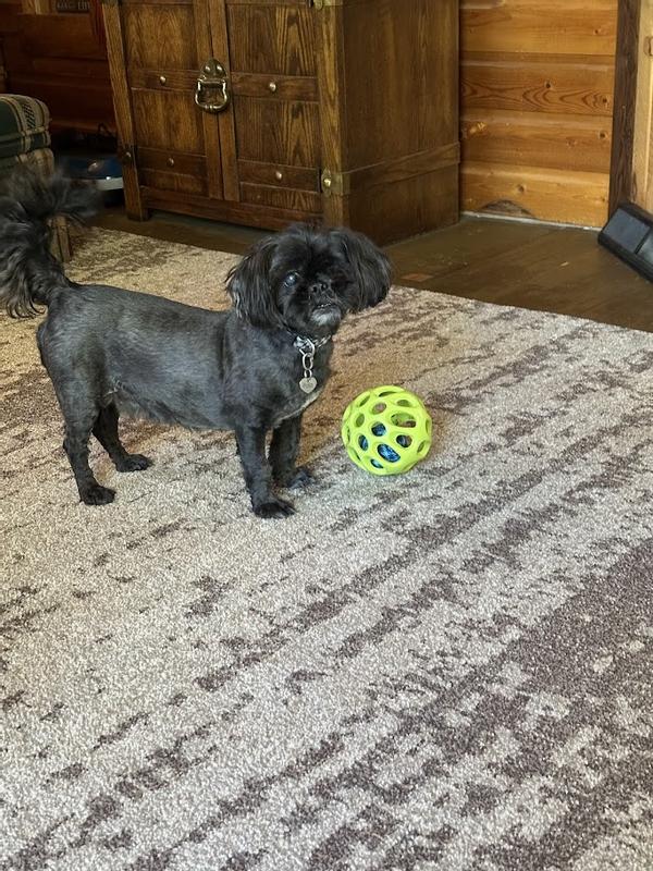 A new toy, you really do love me!