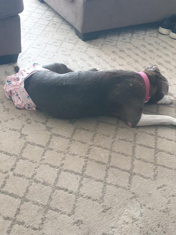 Chillen and looking cute .