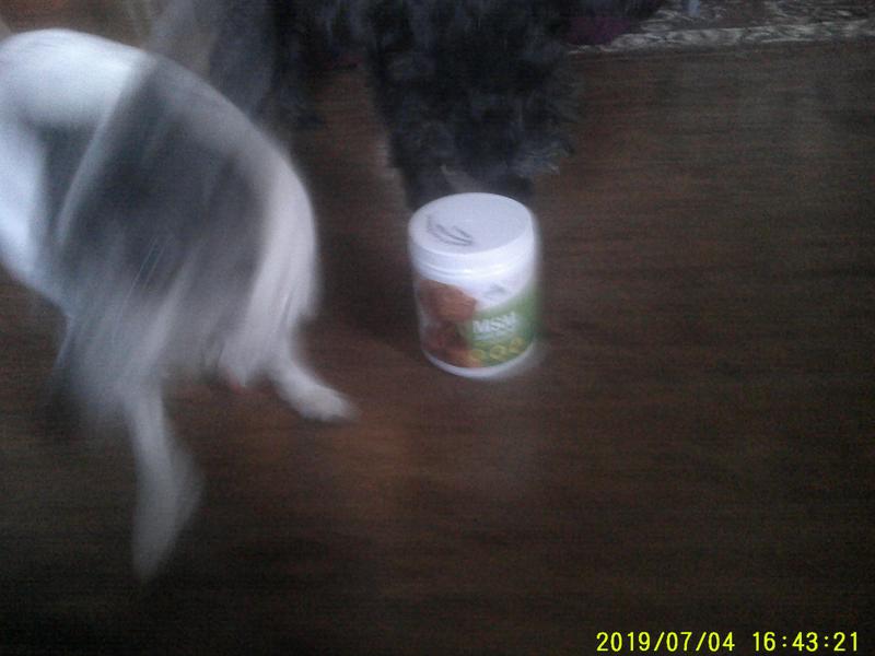 SABASTIAN & LILY WHO TAKE THIS MSM PODER