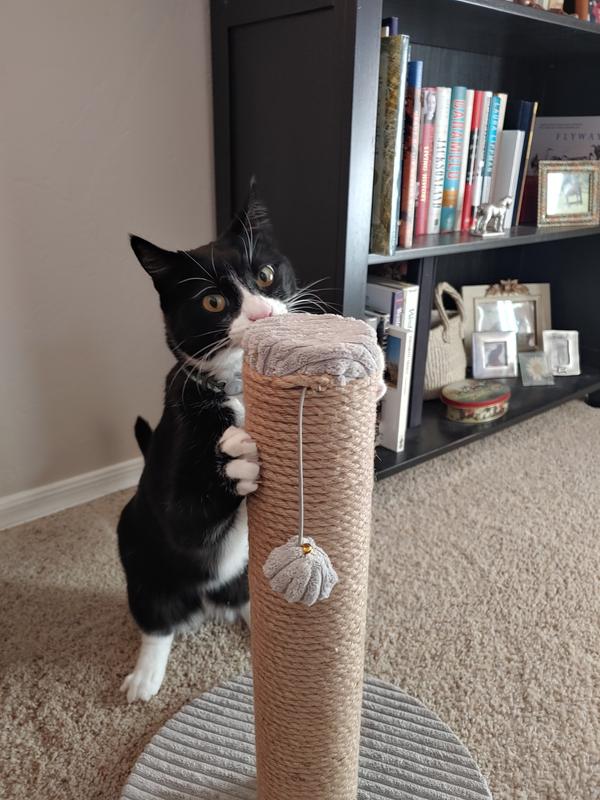Back at his scratchy post!