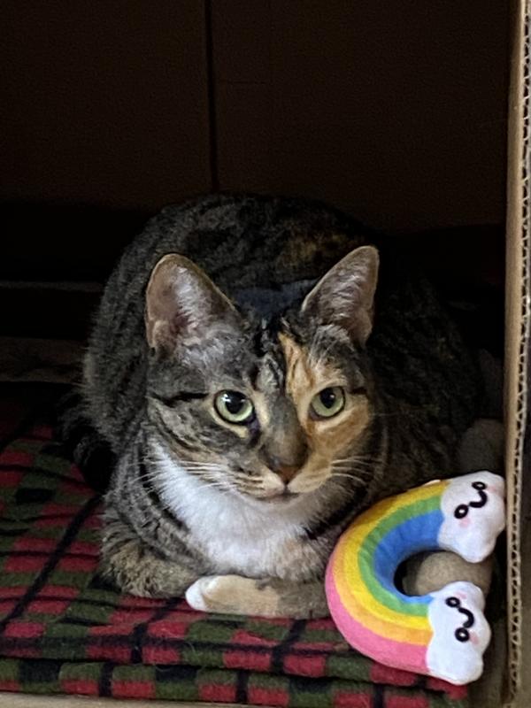 Ruthie loves to watch tv