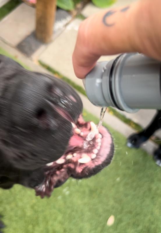 Slow pour in the mouth