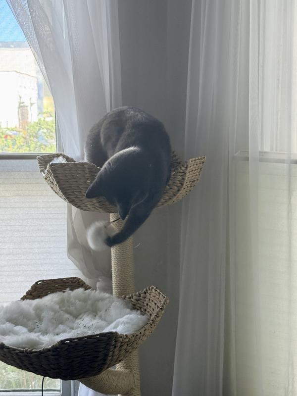 He’s got the right idea!