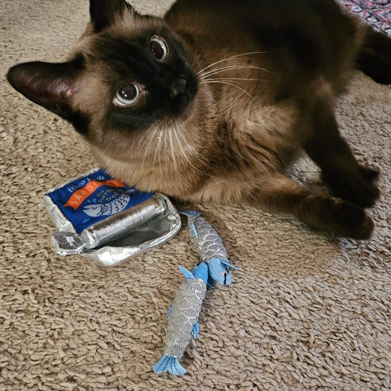 Babette had a great time attacking her fish :-)