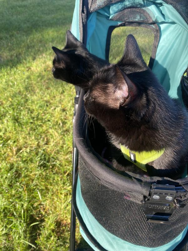 PET GEAR Happy Trails Lite NoZip Pet Stroller, Boysenberry