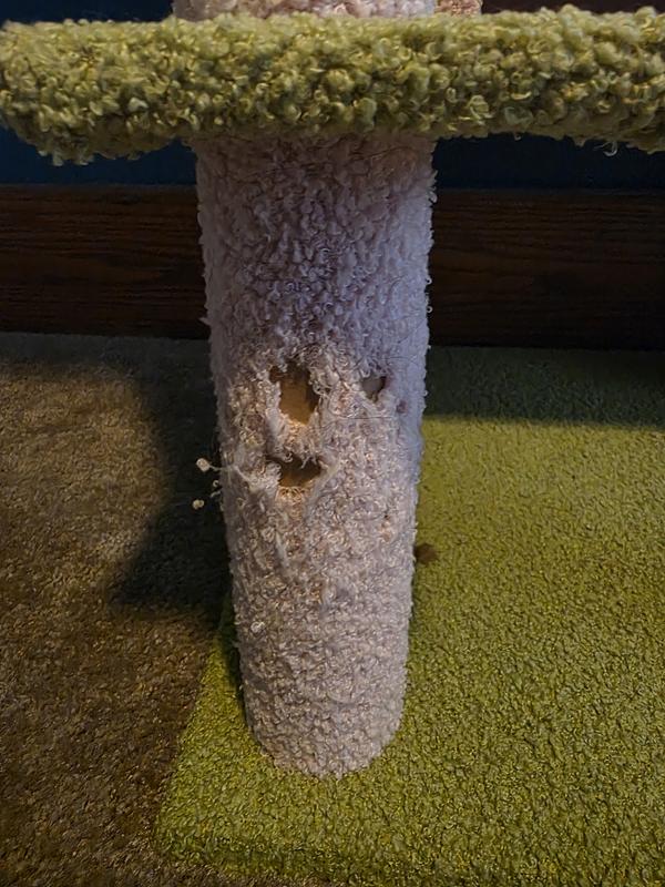 Damage from scratching