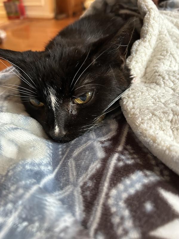 Snuggling up in the winter chill