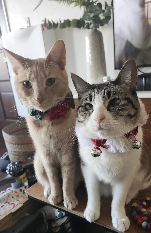 Me (ginger lad in all my glory with my sister!