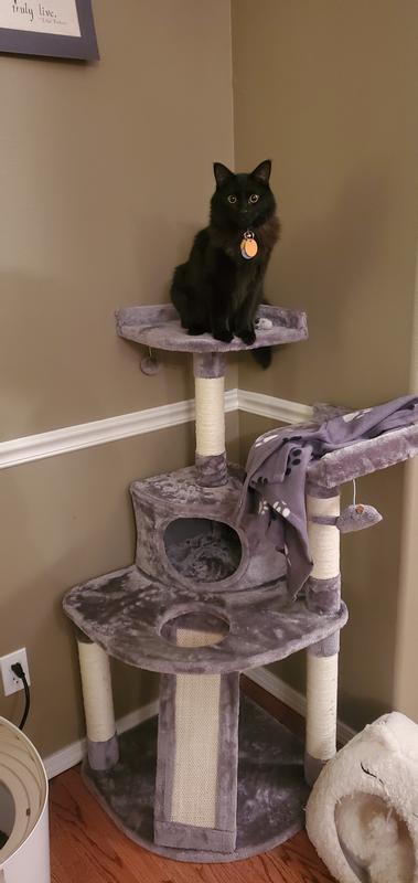 FRISCO 48-in Faux Fur Cat Tree & Condo, Gray - Chewy.com