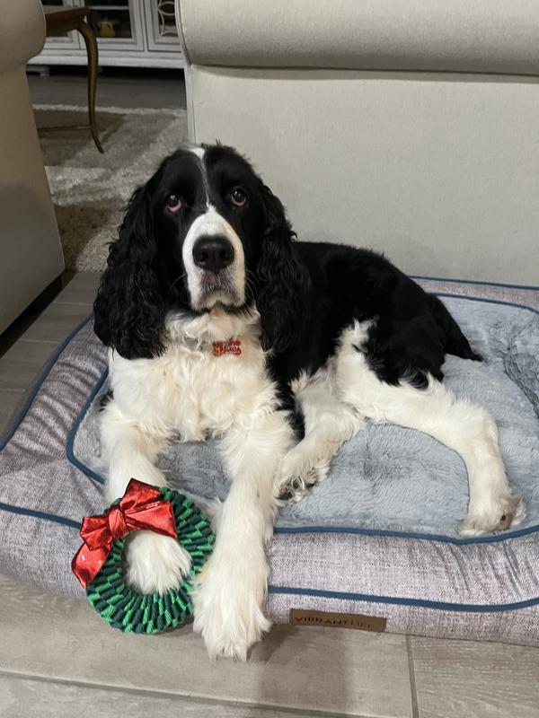Frisco Holiday Wreath with Bow Braided Ring Dog Toy