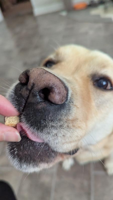 Om nom nom