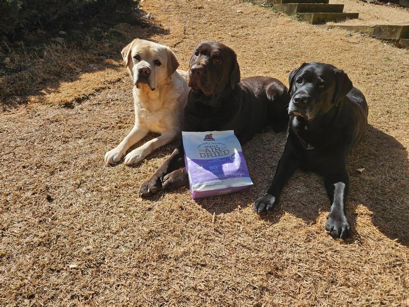 We are good dogs, waiting patiently. Open the bag!!!