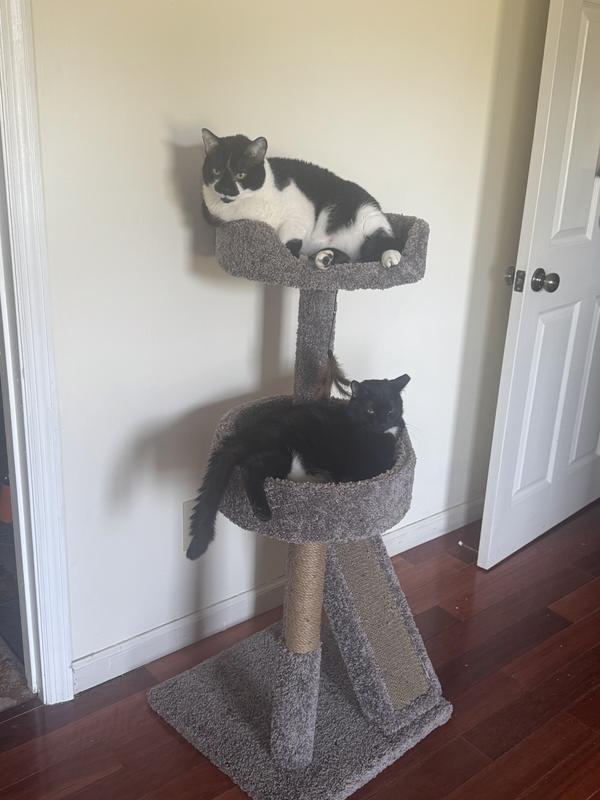 Lucky and Dotty Rose.