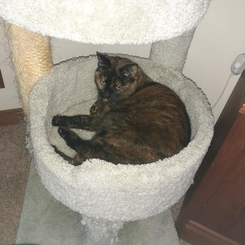 All snuggled down
