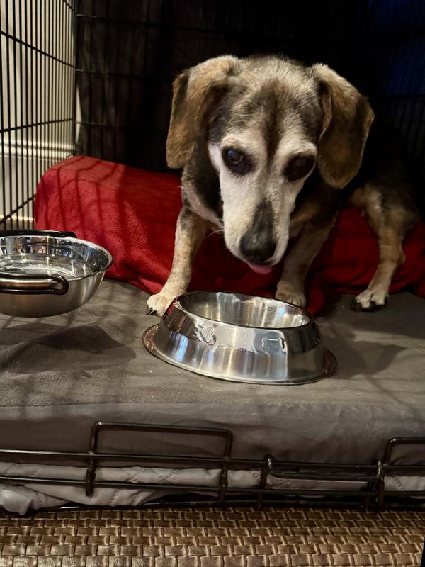 Dallas has room service in her favorite breakfast nook.
