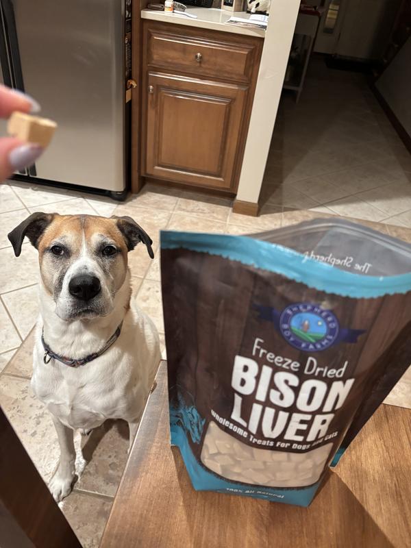 Jackson took a treat and ate it after a lot of coaxing and hyping up the product to him!