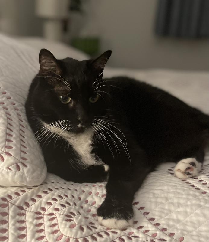 Sammy