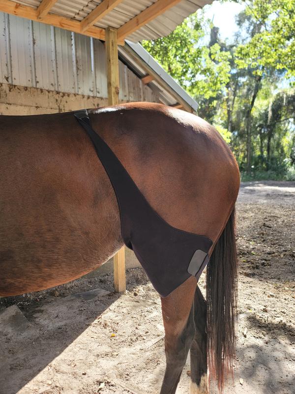 With ice packs definitely made it snugger.