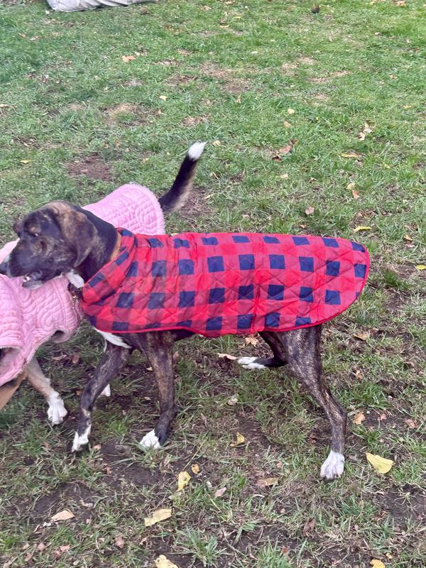 FRISCO Lightweight Quilted Water-Resistant Reversible Insulated