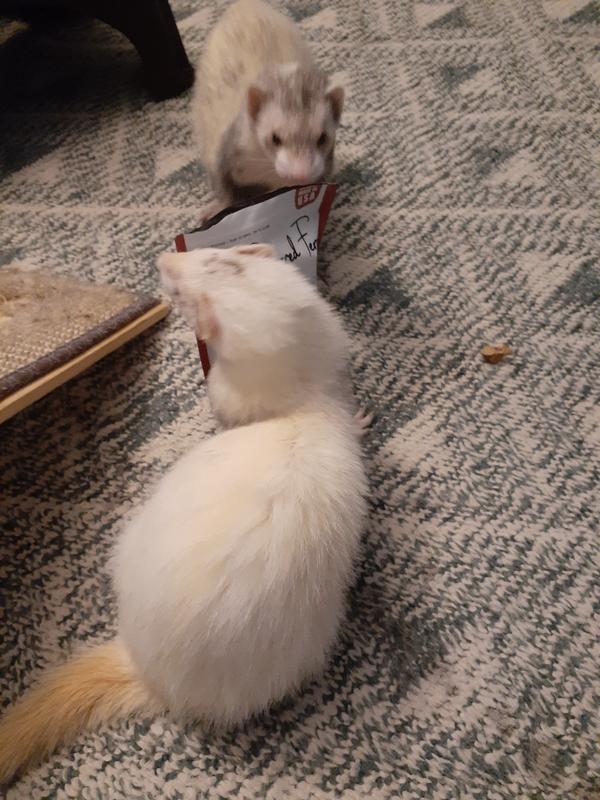 Loved beef kidney treats.