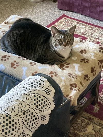 I am so happy with my treats!