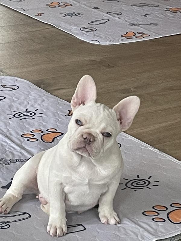 When is it dinner time??