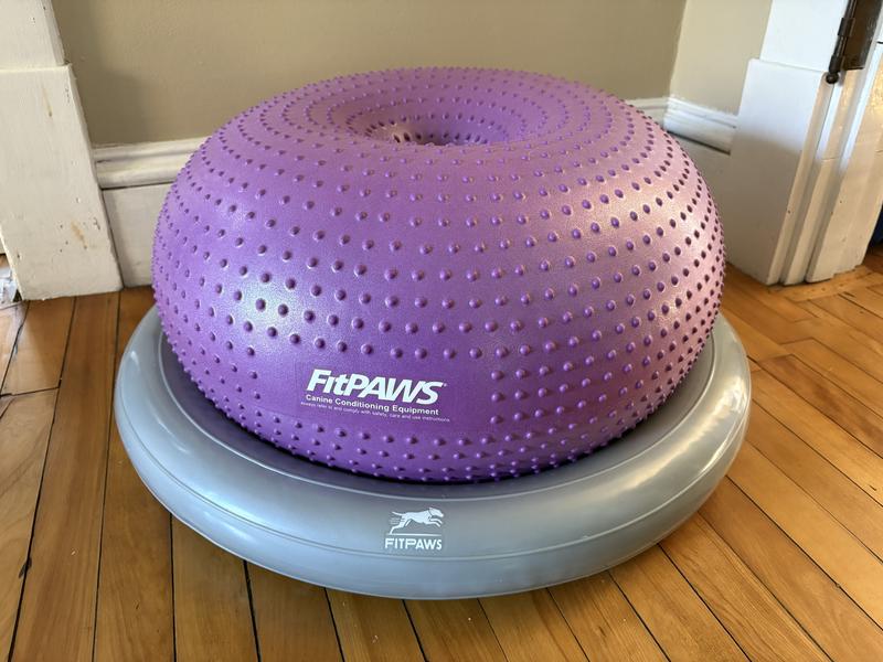 Donut and ring properly inflated