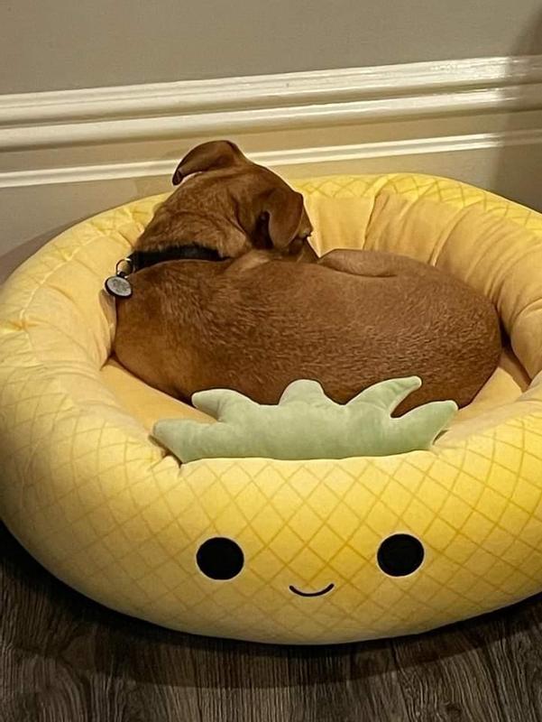 Squishmallow Pineapple Bed – The Fuzzy Paw