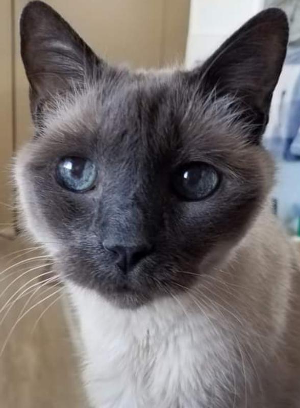 20 yrs old almost died 2 yrs ago.