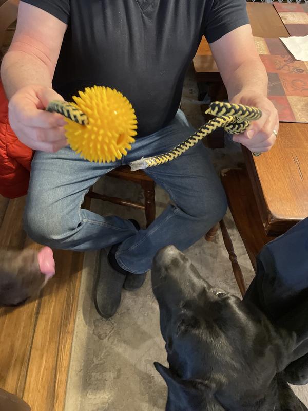 SNUGAROOZ Spikey Baby Rope with Ball Dog Tug Toy, Color