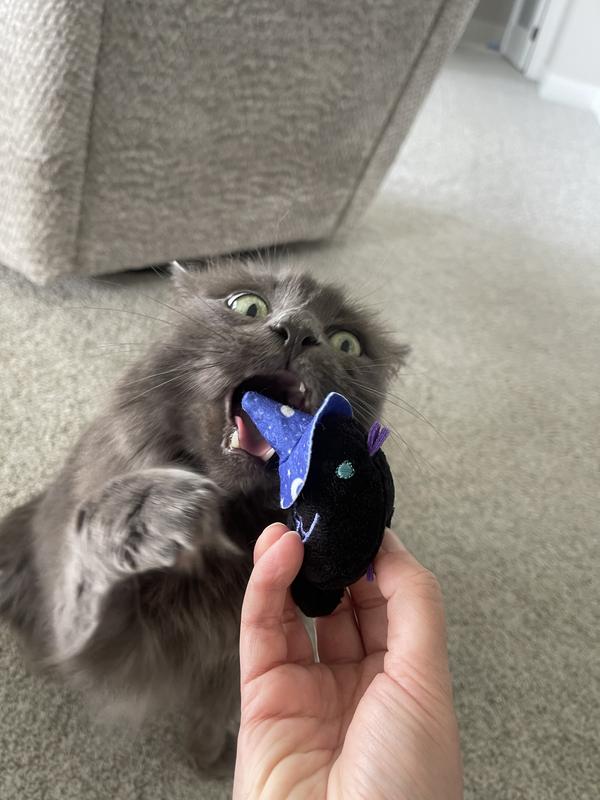 Give me that toy!