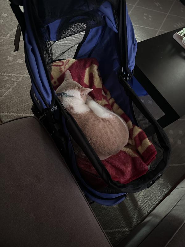 PET GEAR Happy trails NoZip Pet Stroller, Emerald