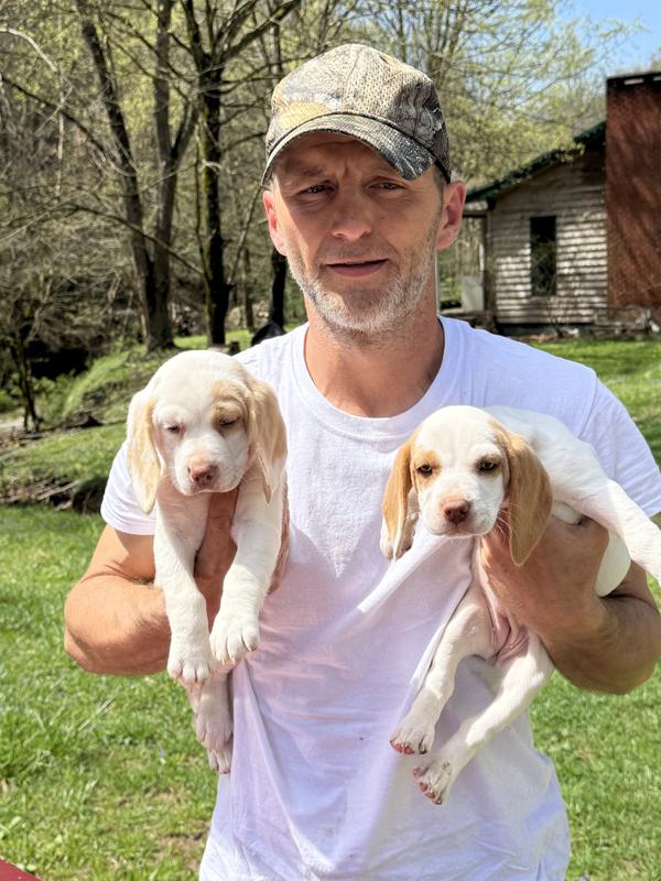 They loves Bully Max!