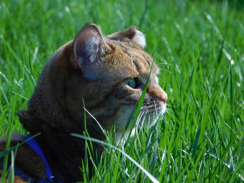 Loving being outside