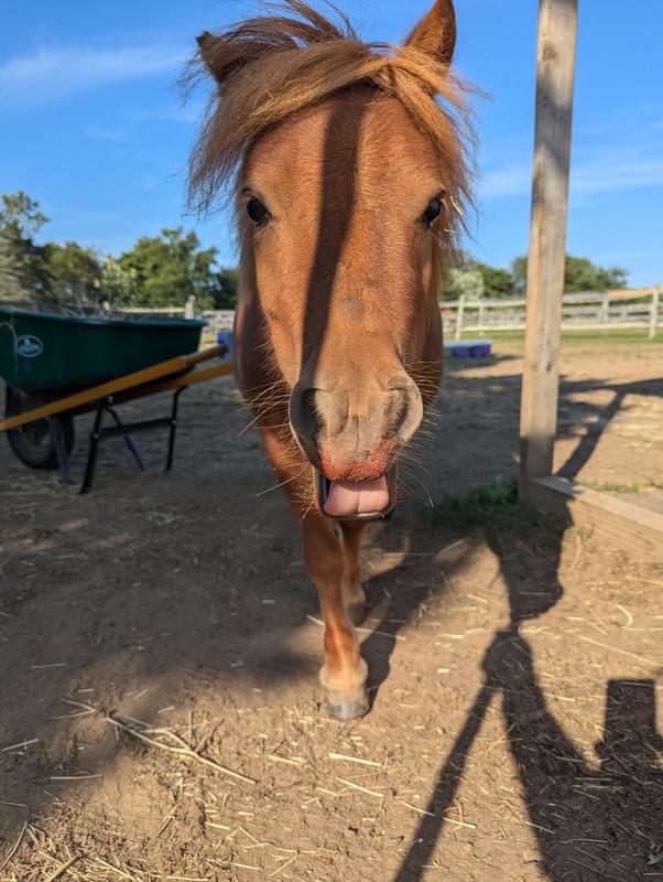 Gives them red noses!