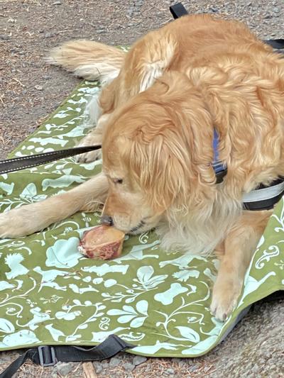 Great for camping too!